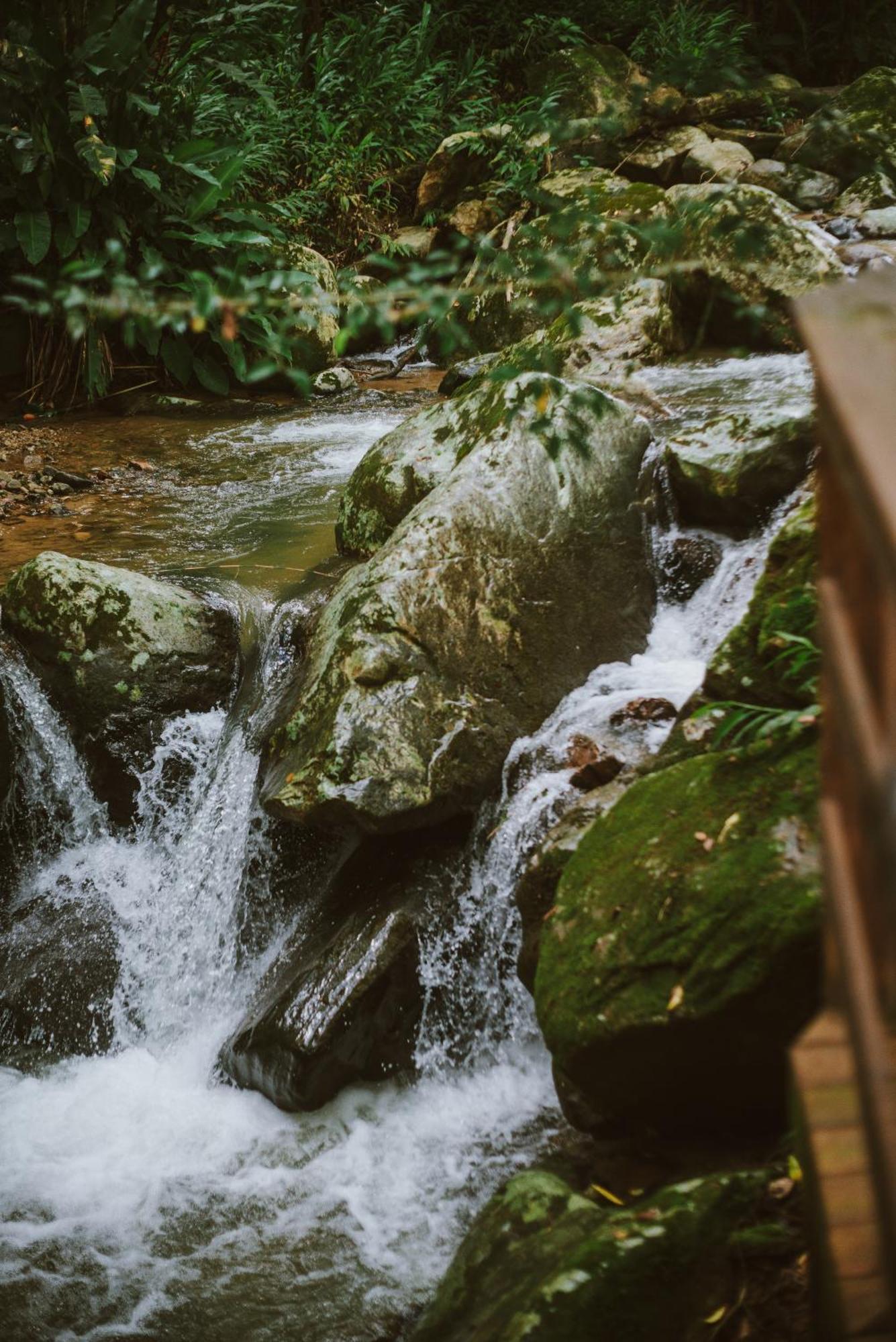 Morada Encanto Da Cachoeira Aguas Mornas Екстериор снимка